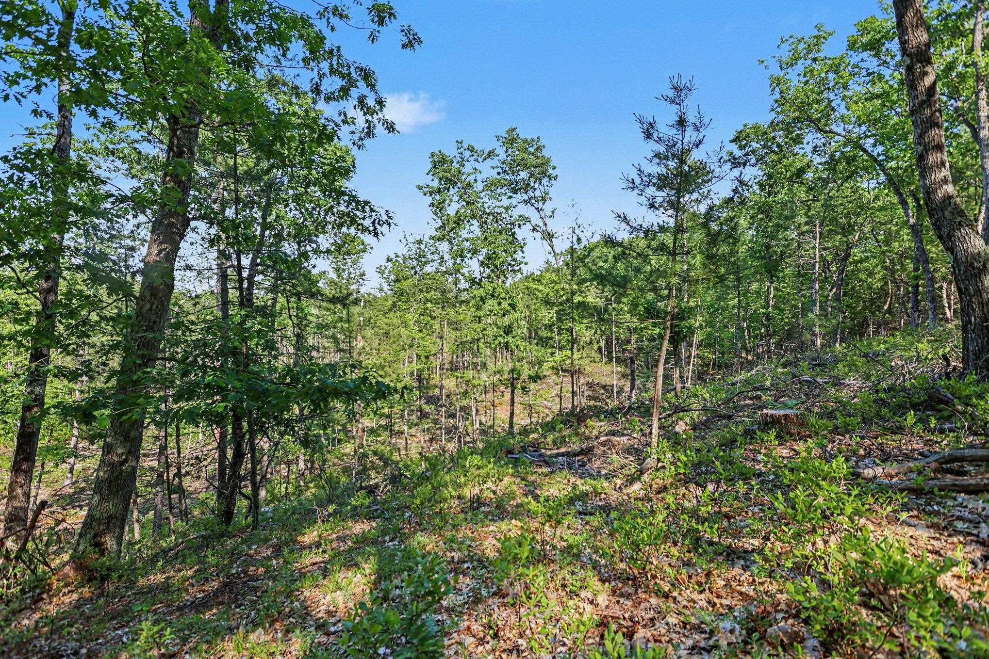 0 Fairview Road West Branch, MI 48661 - Photo 18 of 23