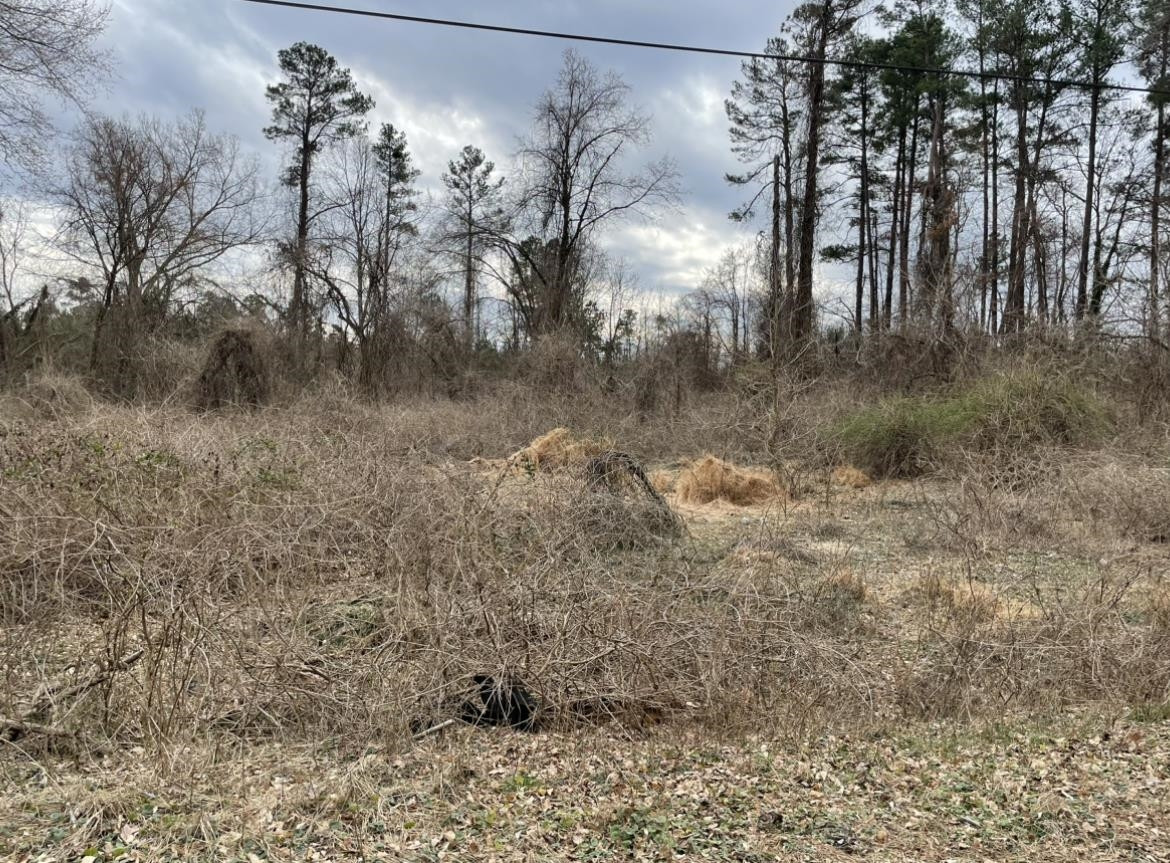 223 Teel Drive Durham, NC 27704 - Photo 1 of 7 a view of a yard in a forest