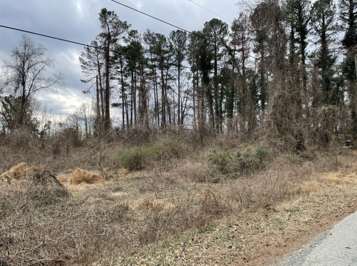 223 Teel Drive Durham, NC 27704 - Photo 3 of 7 a view of a yard in a forest