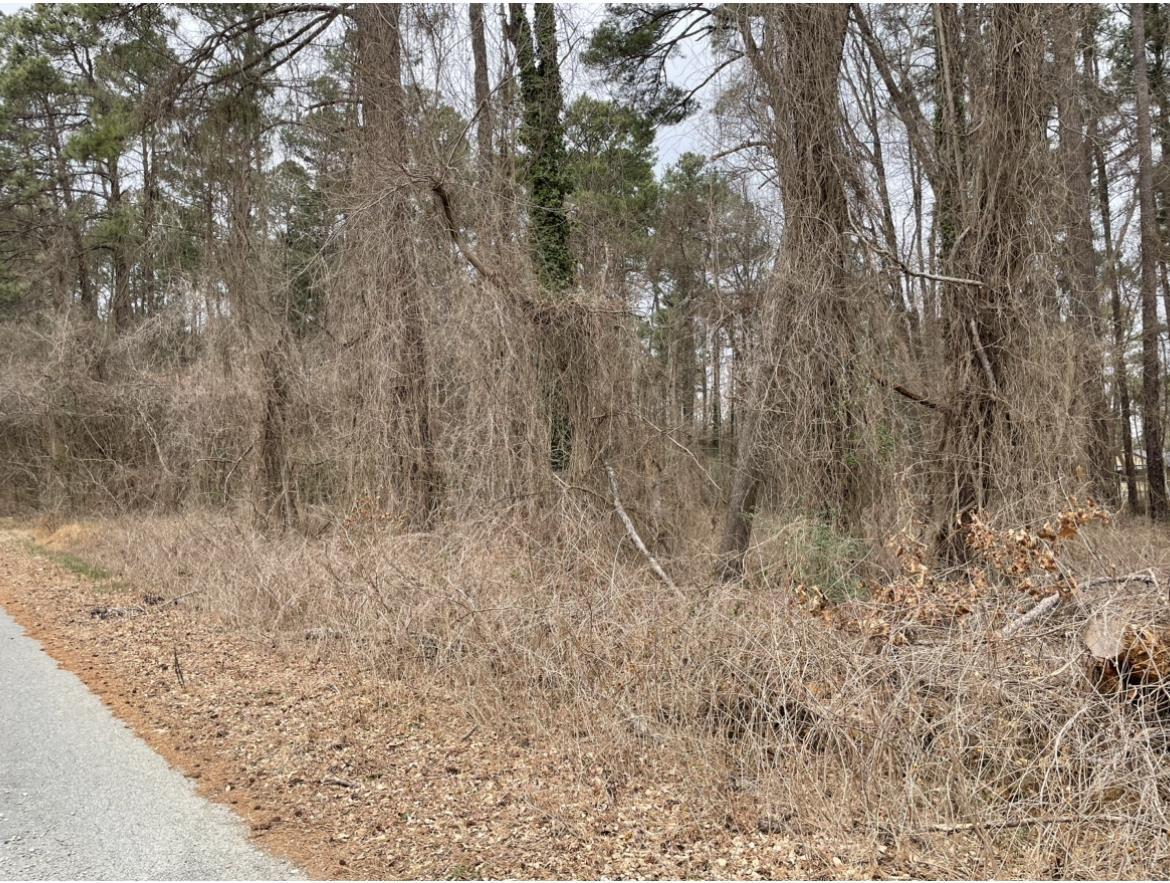223 Teel Drive Durham, NC 27704 - Photo 5 of 7 a view of a dry yard with trees in the background