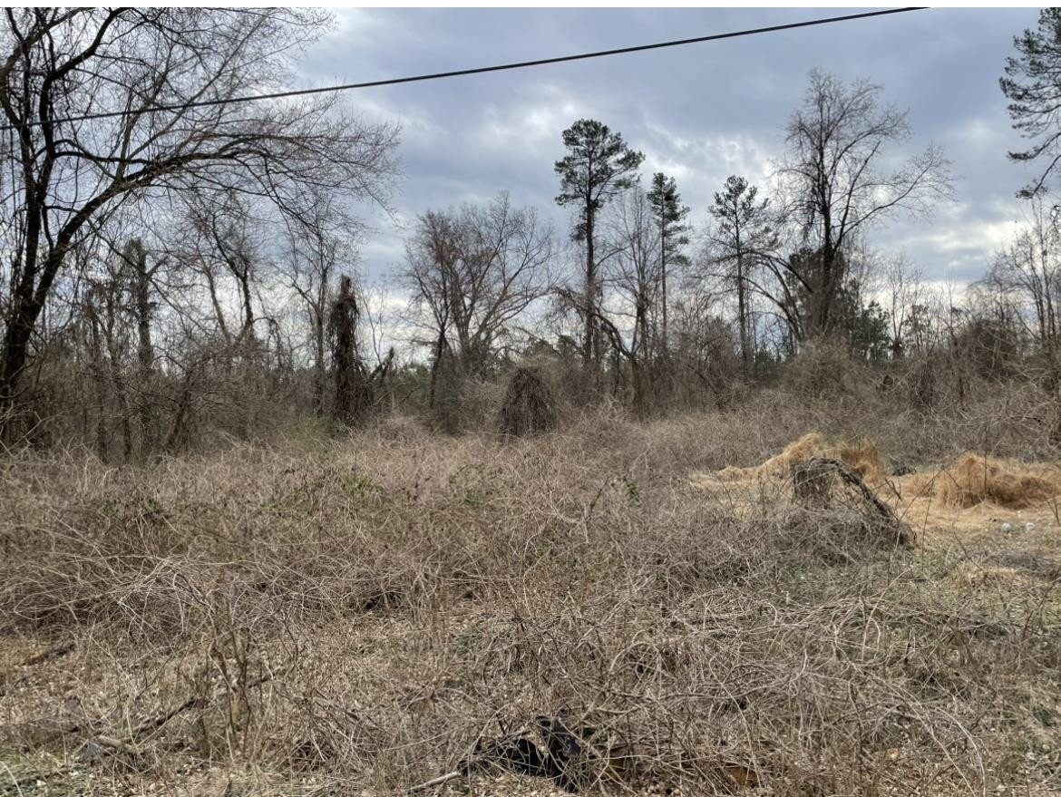 223 Teel Drive Durham, NC 27704 - Photo 7 of 7 a view of a yard