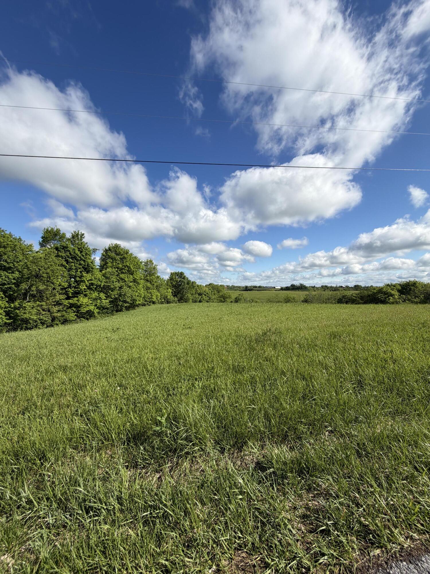 5.28-ac Chipman Ridge Road Williamstown, KY 41097 - Photo 3 of 5