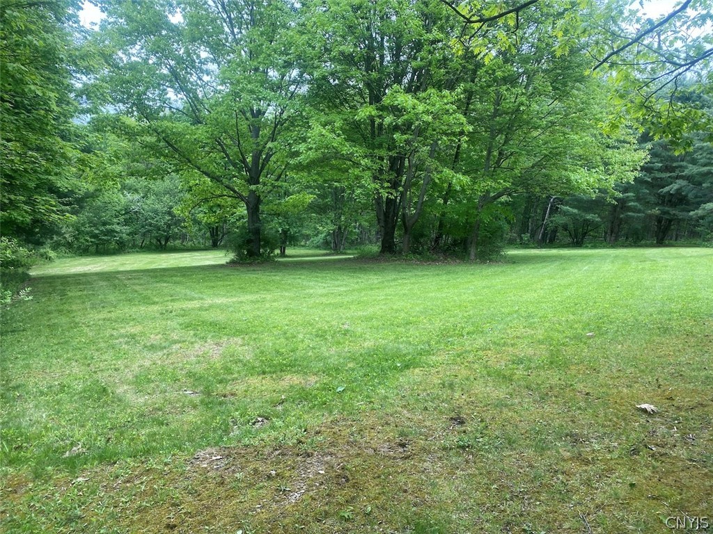 7133 Murry Hill Road Belfast, NY 14711 - Photo 21 of 33