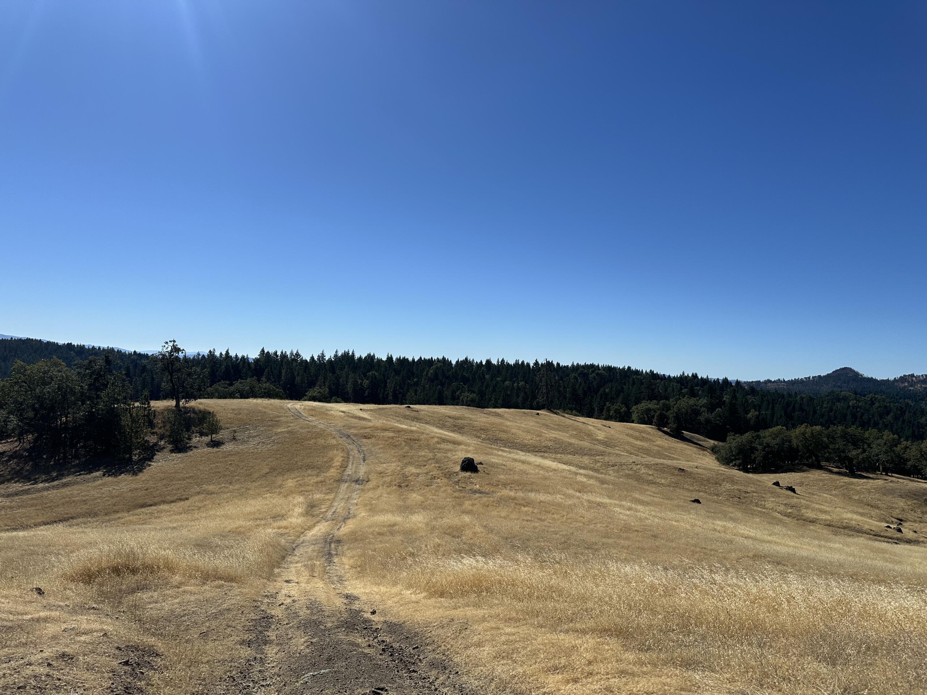 751 Lassic's Lookout Road Zenia, CA 95595 - Photo 26 of 29