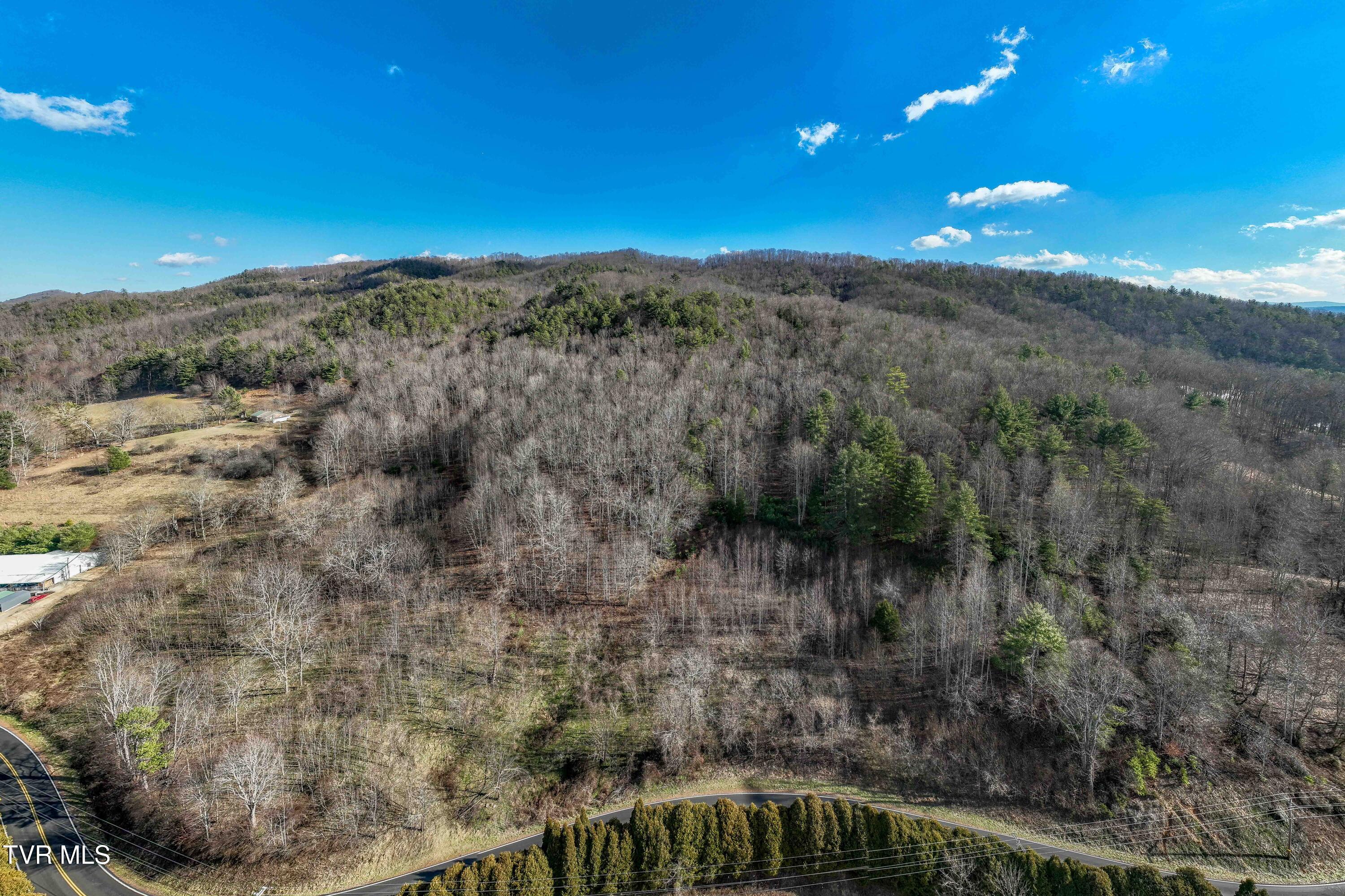 Tbd Dry Hill Road Butler, TN 37640 - Photo 20 of 33 Tbd Dry Hill (20 of 33)