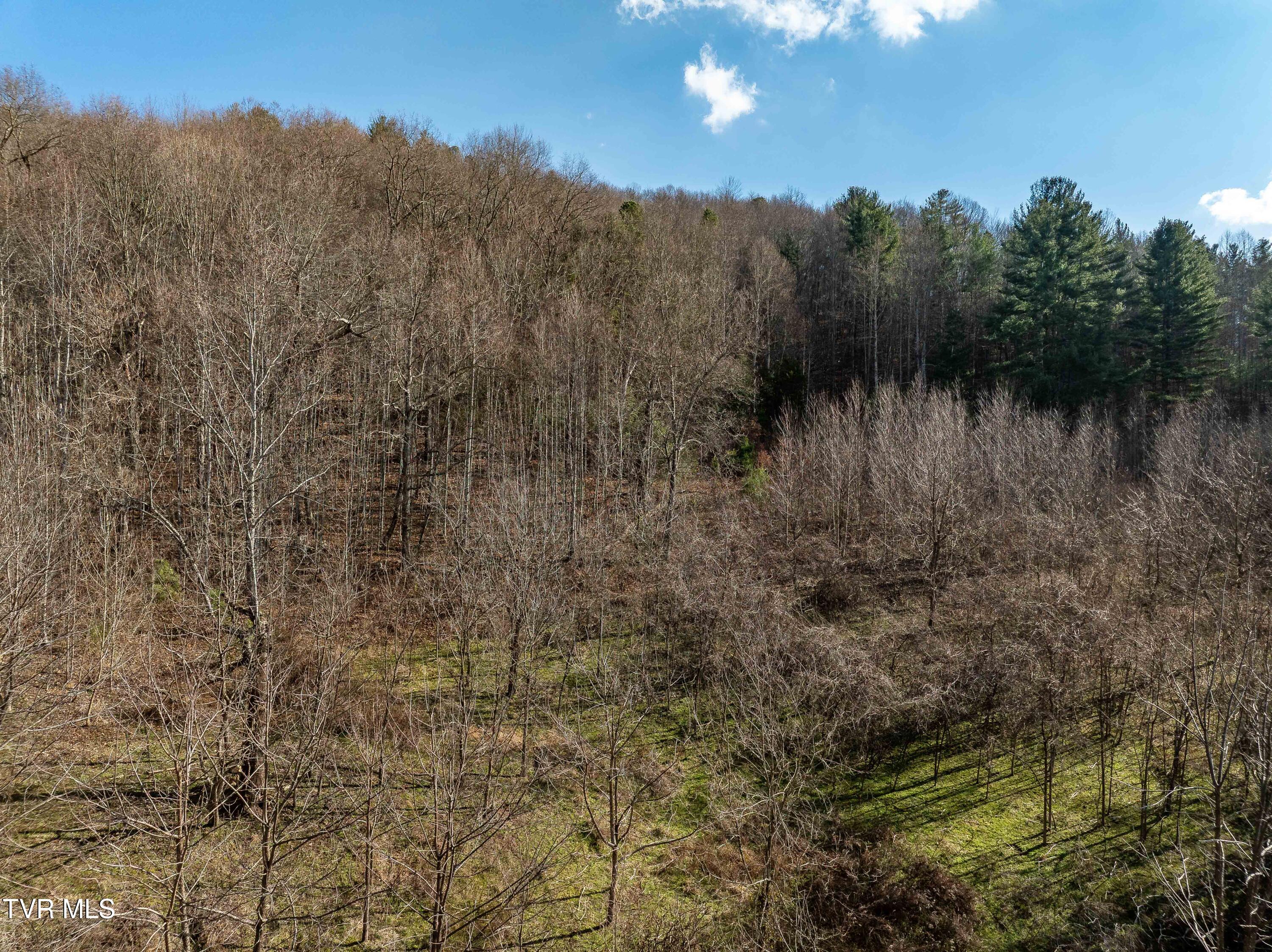 Tbd Dry Hill Road Butler, TN 37640 - Photo 23 of 33 Tbd Dry Hill (23 of 33)