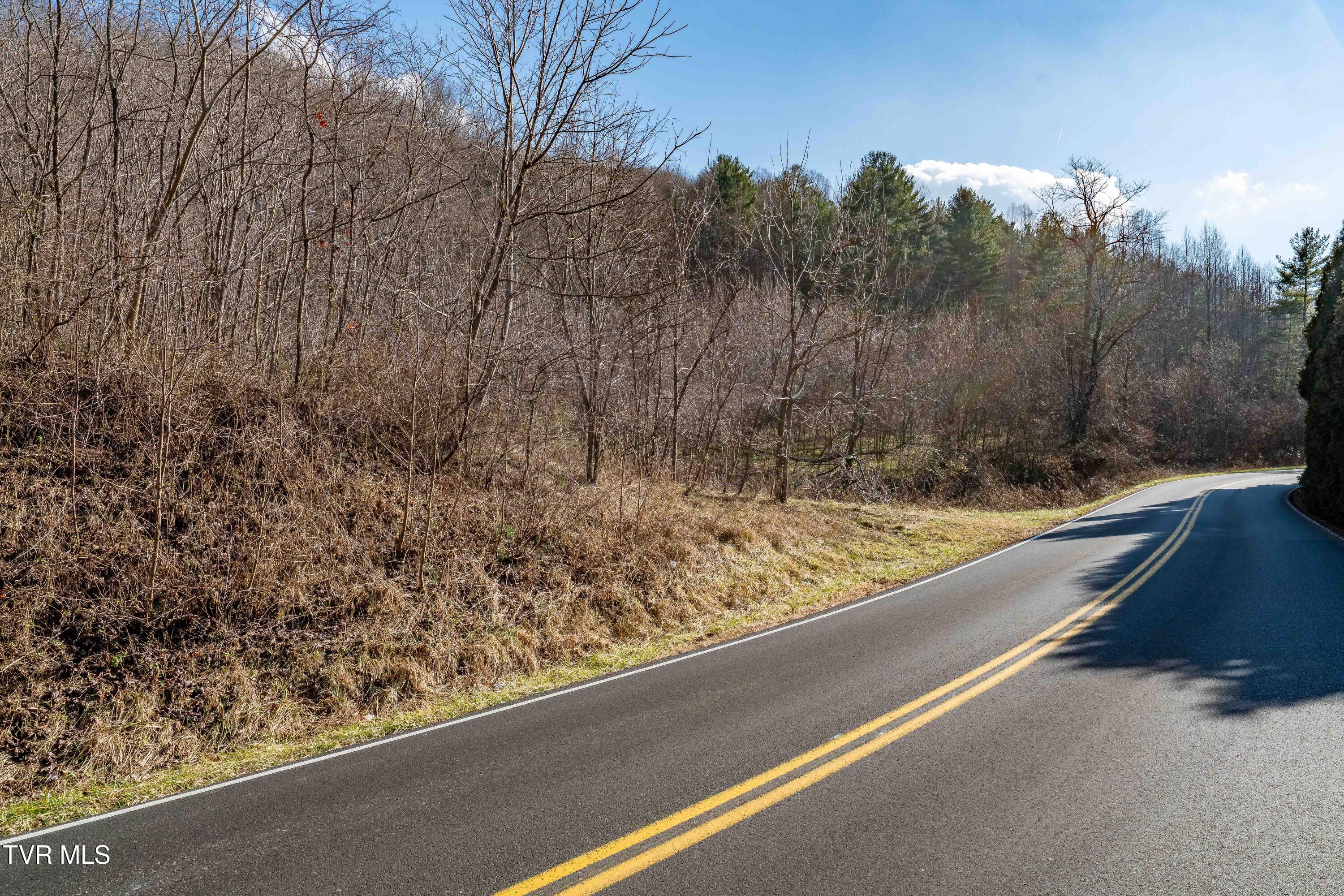 Tbd Dry Hill Road Butler, TN 37640 - Photo 26 of 33 Tbd Dry Hill (26 of 33)