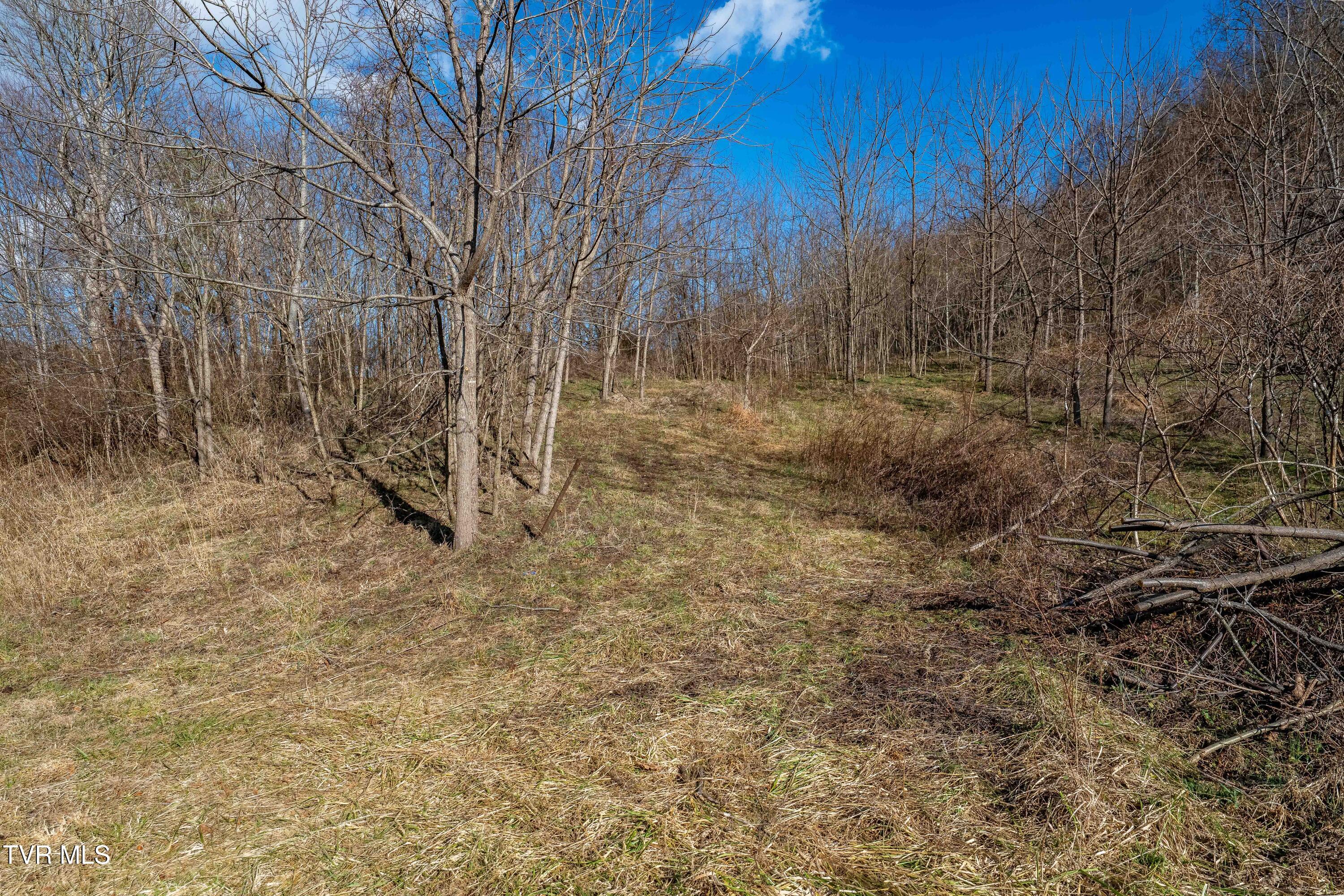 Tbd Dry Hill Road Butler, TN 37640 - Photo 28 of 33 Tbd Dry Hill (28 of 33)