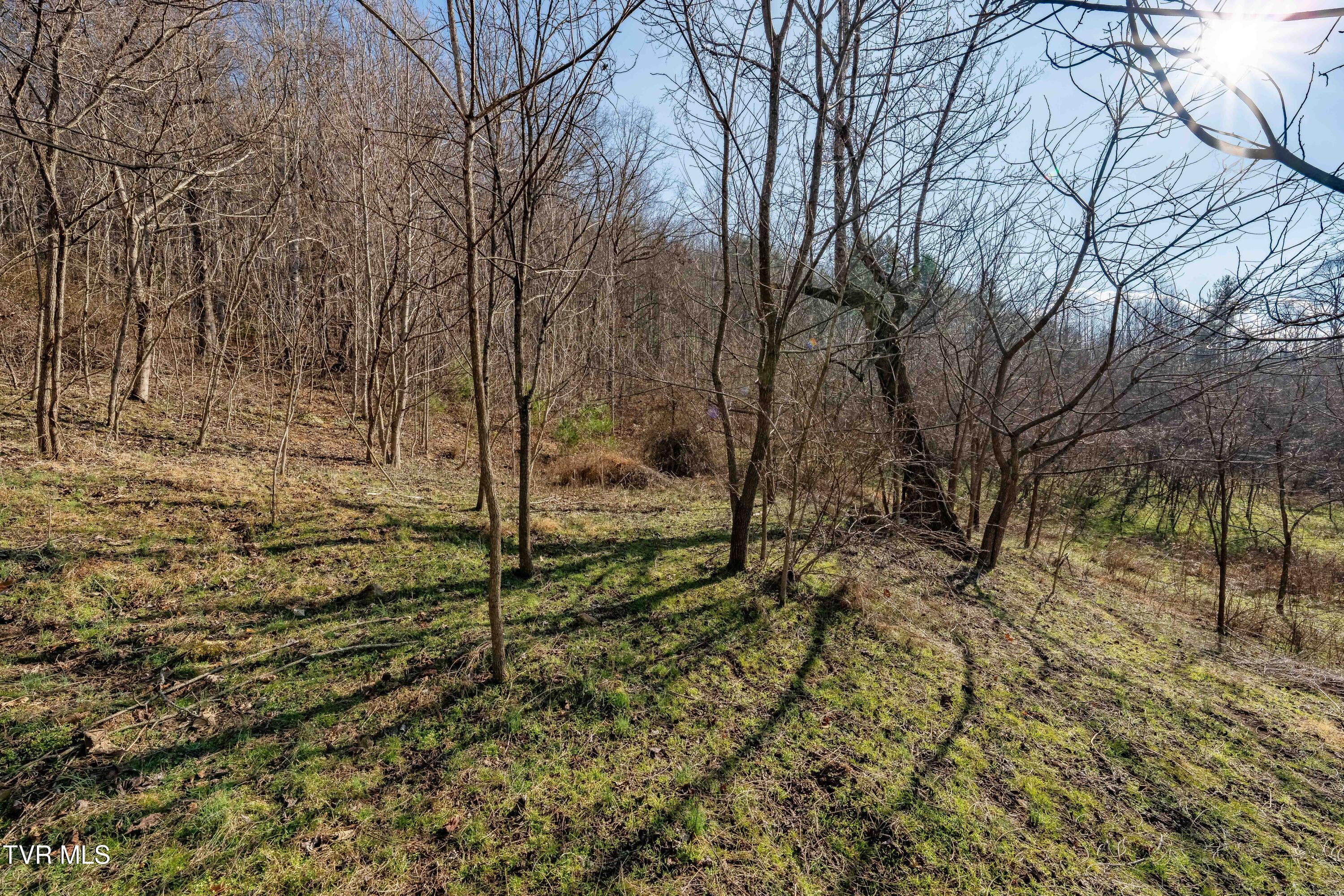 Tbd Dry Hill Road Butler, TN 37640 - Photo 29 of 33 Tbd Dry Hill (29 of 33)