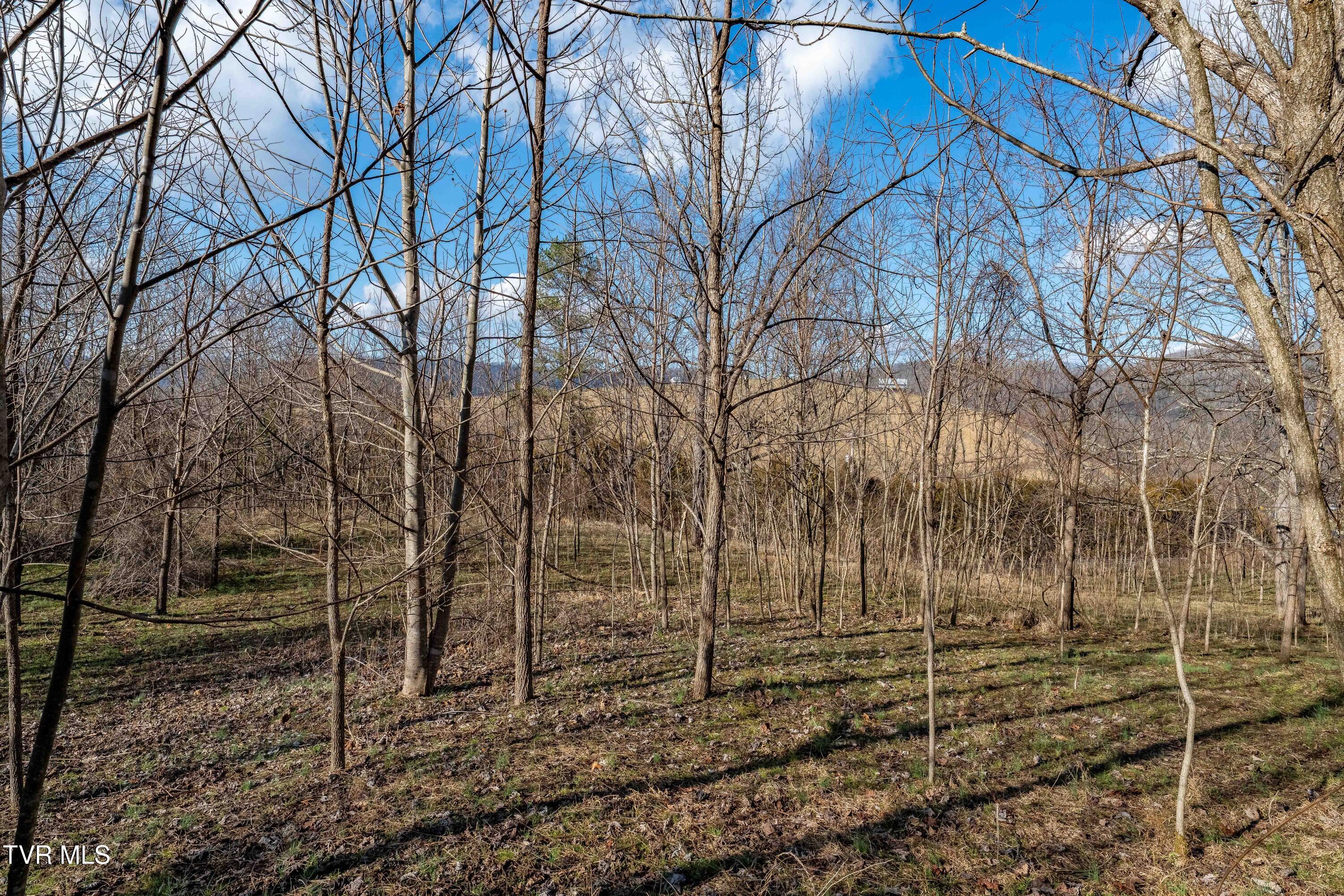 Tbd Dry Hill Road Butler, TN 37640 - Photo 31 of 33 Tbd Dry Hill (31 of 33)