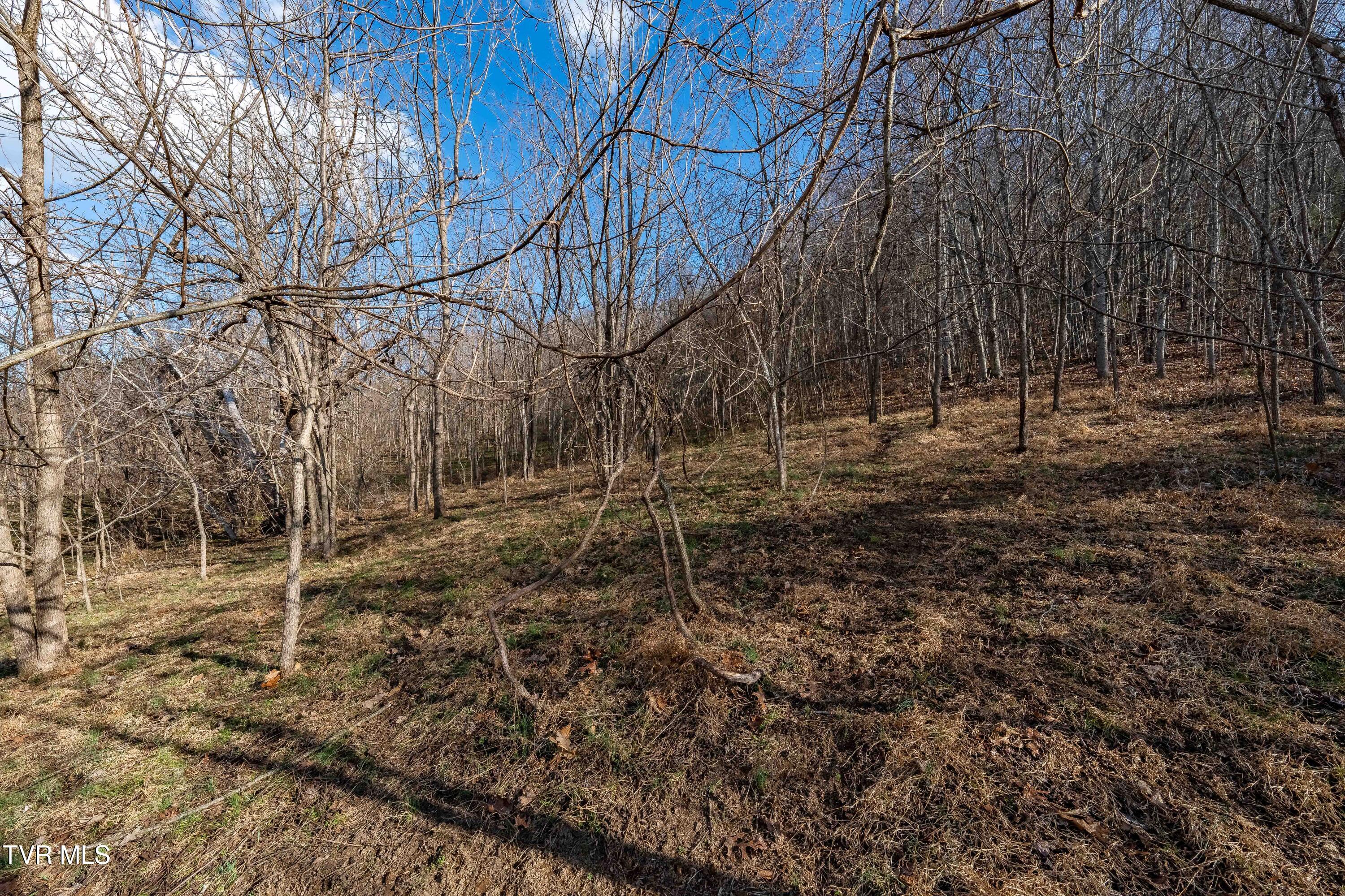 Tbd Dry Hill Road Butler, TN 37640 - Photo 32 of 33 Tbd Dry Hill (32 of 33)