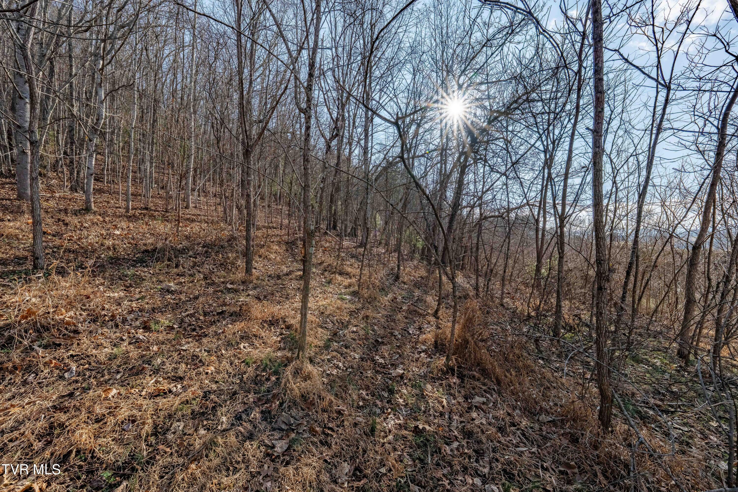 Tbd Dry Hill Road Butler, TN 37640 - Photo 33 of 33 Tbd Dry Hill (33 of 33)