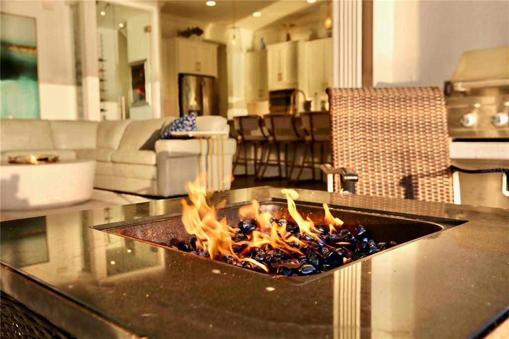 17104 Crawley Road Odessa, FL 33556 - Photo 26 of 61