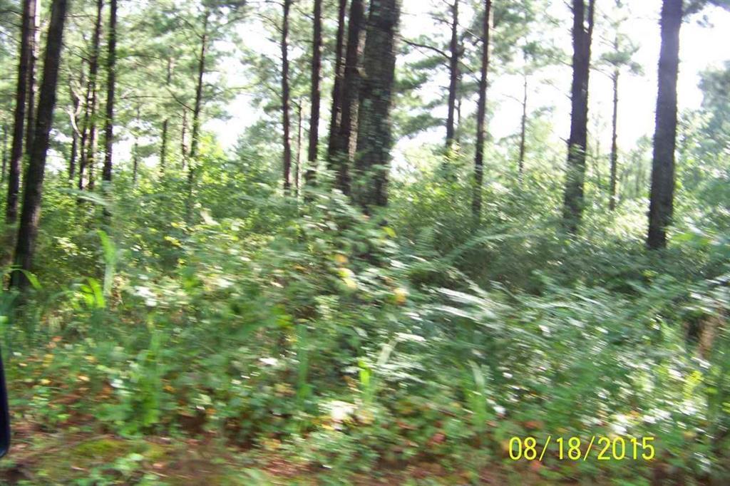 Lot#17 Doc Miller Road Madisonville, TN 37354 - Photo 1 of 1 Lot 17. Doc Miller Rd.