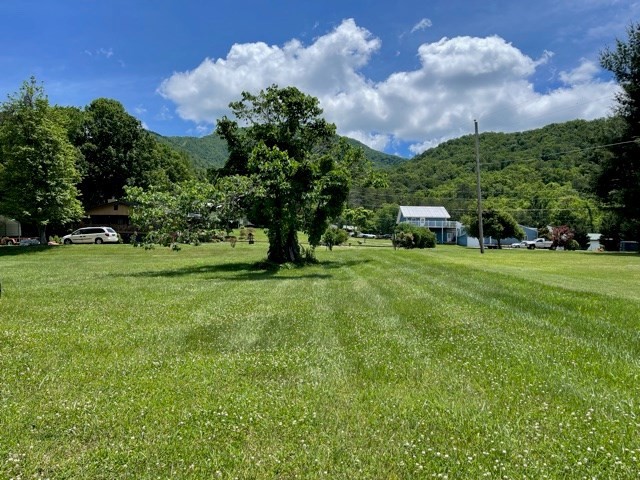 4 Katy Hollar Rd. Road Sevierville, TN 37862 - Photo 8 of 12