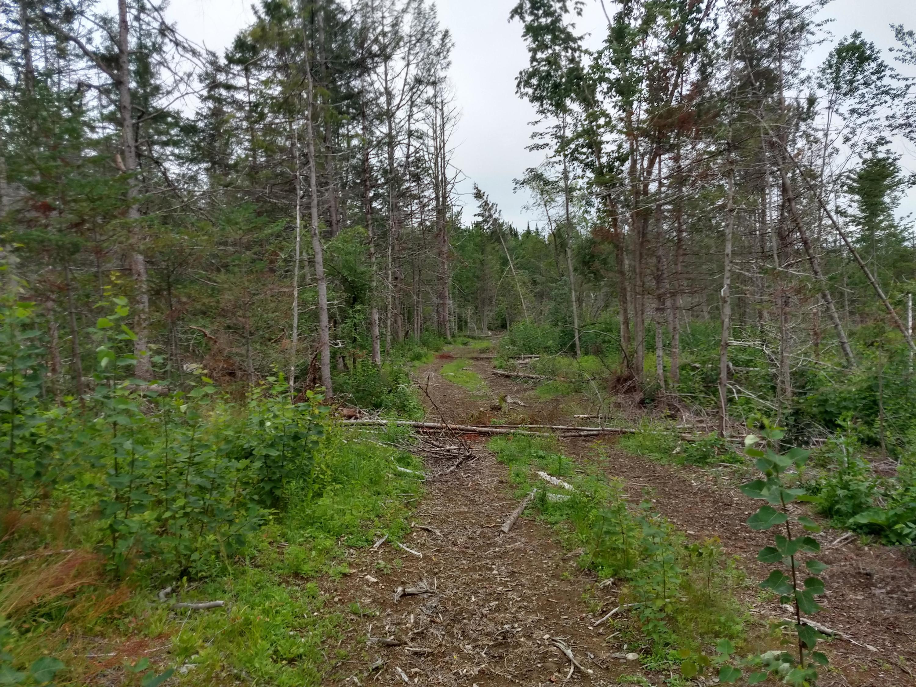 1 Hodgdon Mills Road Linneus, ME 04730 - Photo 6 of 11 IMG_20190819_160154707_HDR
