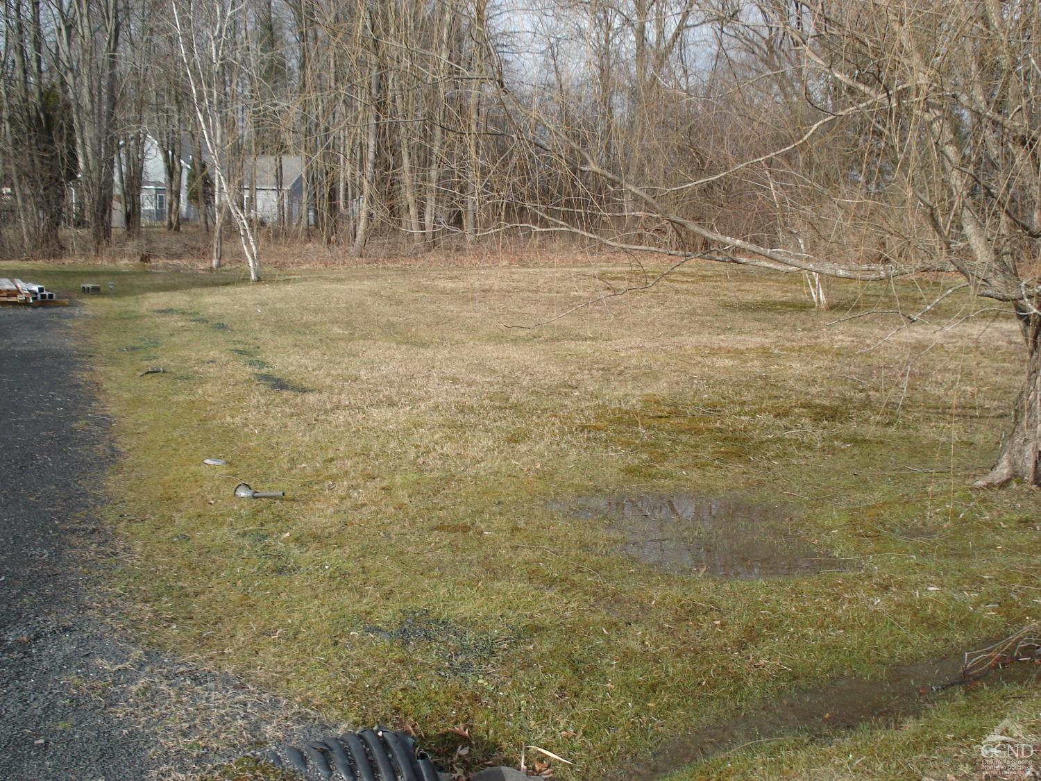 a view of a yard with an trees