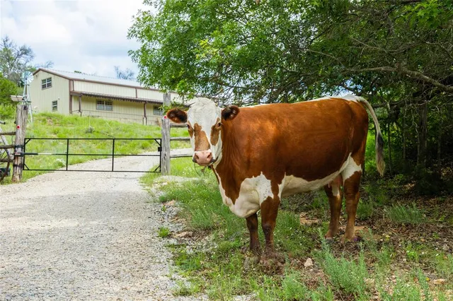 a view of backyard with table and chairs and potted plants