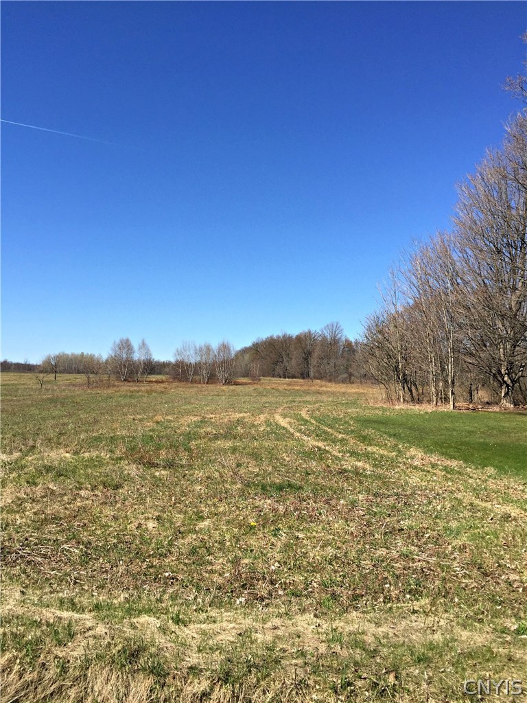 0 Fyler Road Sullivan, NY 13037 - Photo 1 of 1