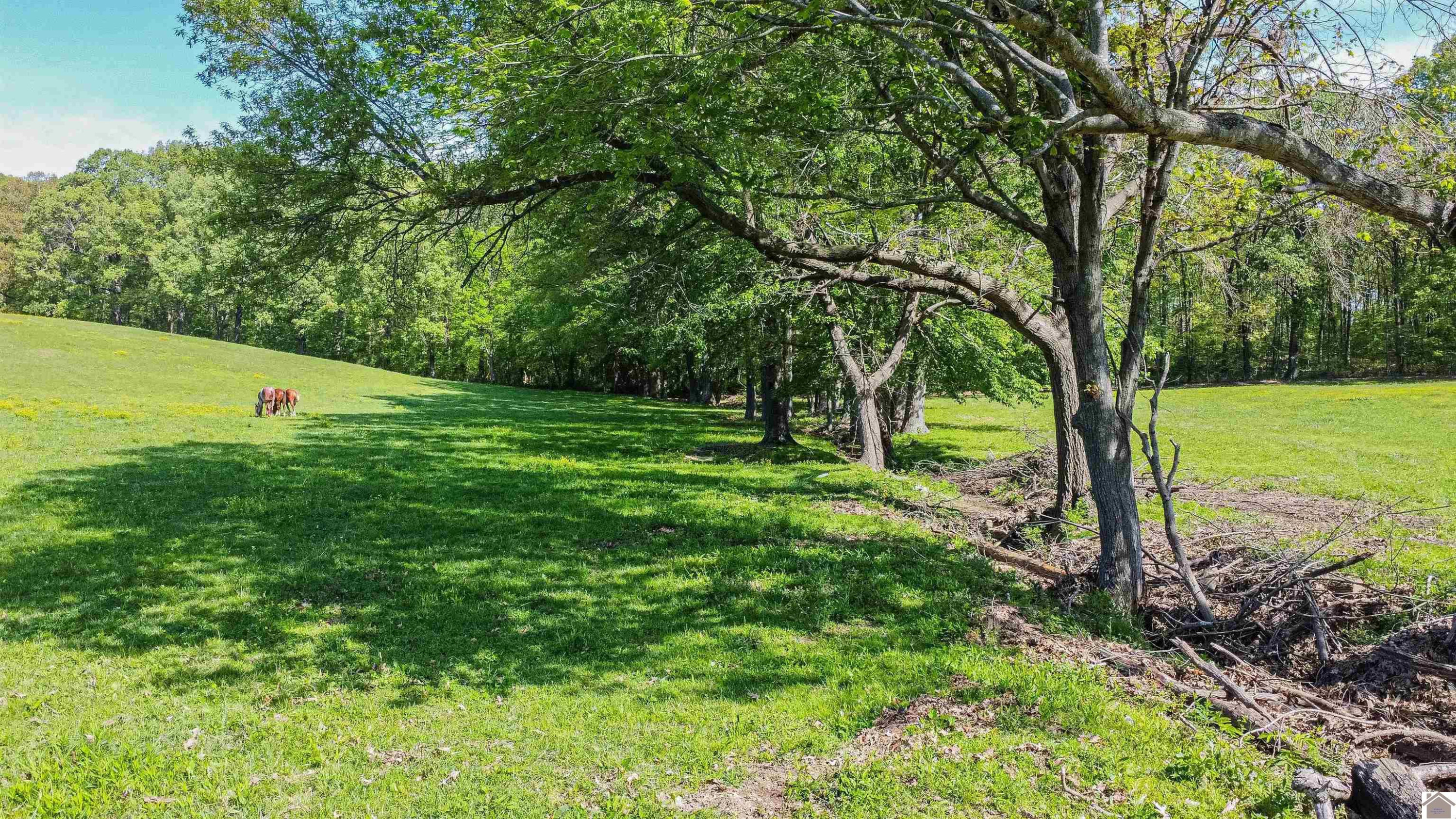 715 Corinth Church Road Grand Rivers, KY 42045 - Photo 20 of 47 Photo 20