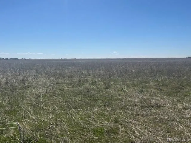 a view of a field with trees in background