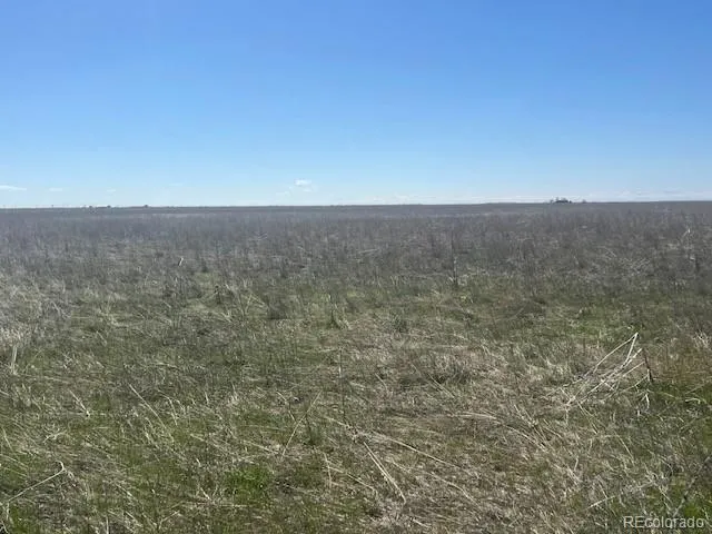 a close view of a bathroom shower