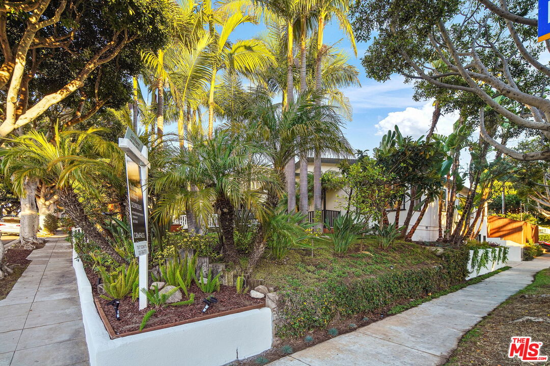 1102 Maple Street Santa Monica, CA 90405 - Photo 3 of 51 a view of a yard with plants and trees
