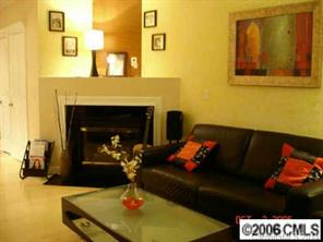 1123 Market Street, Unit 1123 Fort Mill, SC 29708 - Photo 3 of 6 a living room with a couch and a fireplace