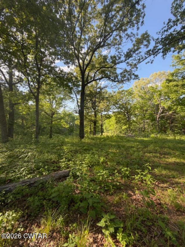 0 McBride Cemetery Road Sardis, TN 38371 - Photo 18 of 41 27