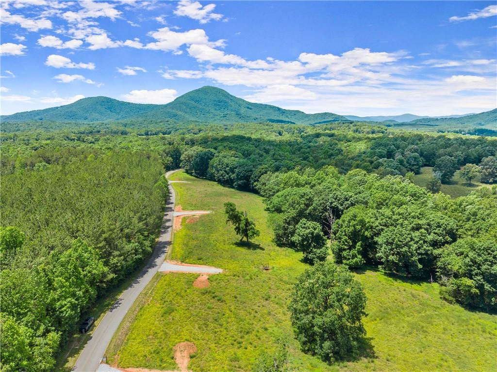 0 Arthur Allen Road Cleveland, GA 30528 - Photo 1 of 19