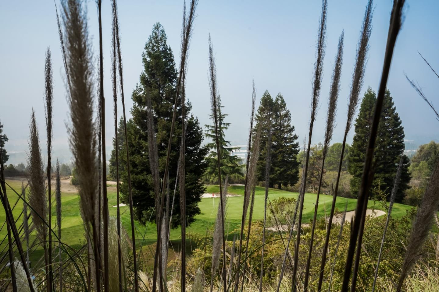 174 Copper Ridge Road San Ramon, CA 94582 - Photo 29 of 29 a view of outdoor space