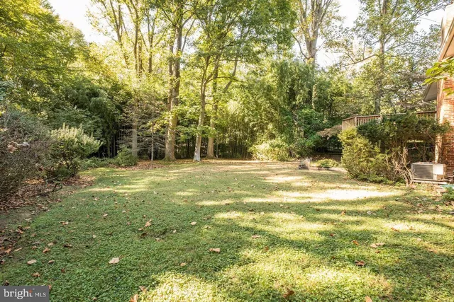 a view of outdoor space with trees all around