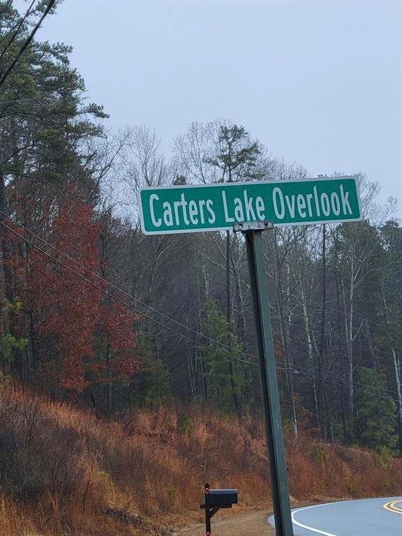 0 Carters Lake Ellijay, GA 30540 - Photo 4 of 4