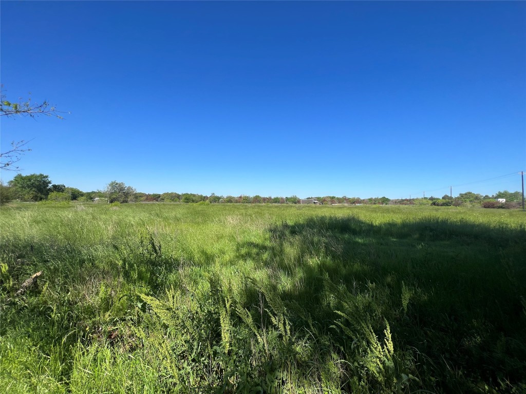 9203 Highway 21 Bryan, TX 77808 - Photo 8 of 8 a view of a lush green space with sea