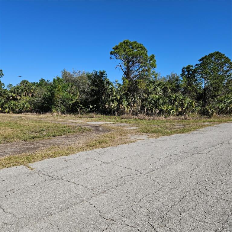 Custer Cir Port North Port, FL 34288 - Photo 4 of 4