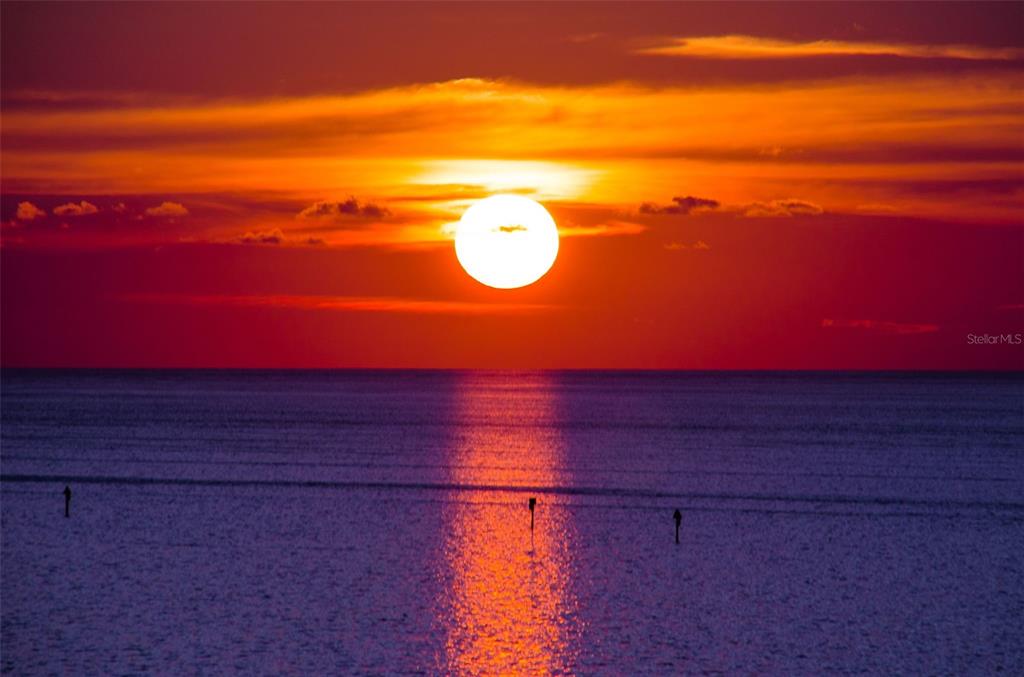 6035 Sea Ranch Drive, Unit 505 Hudson, FL 34667 - Photo 41 of 44