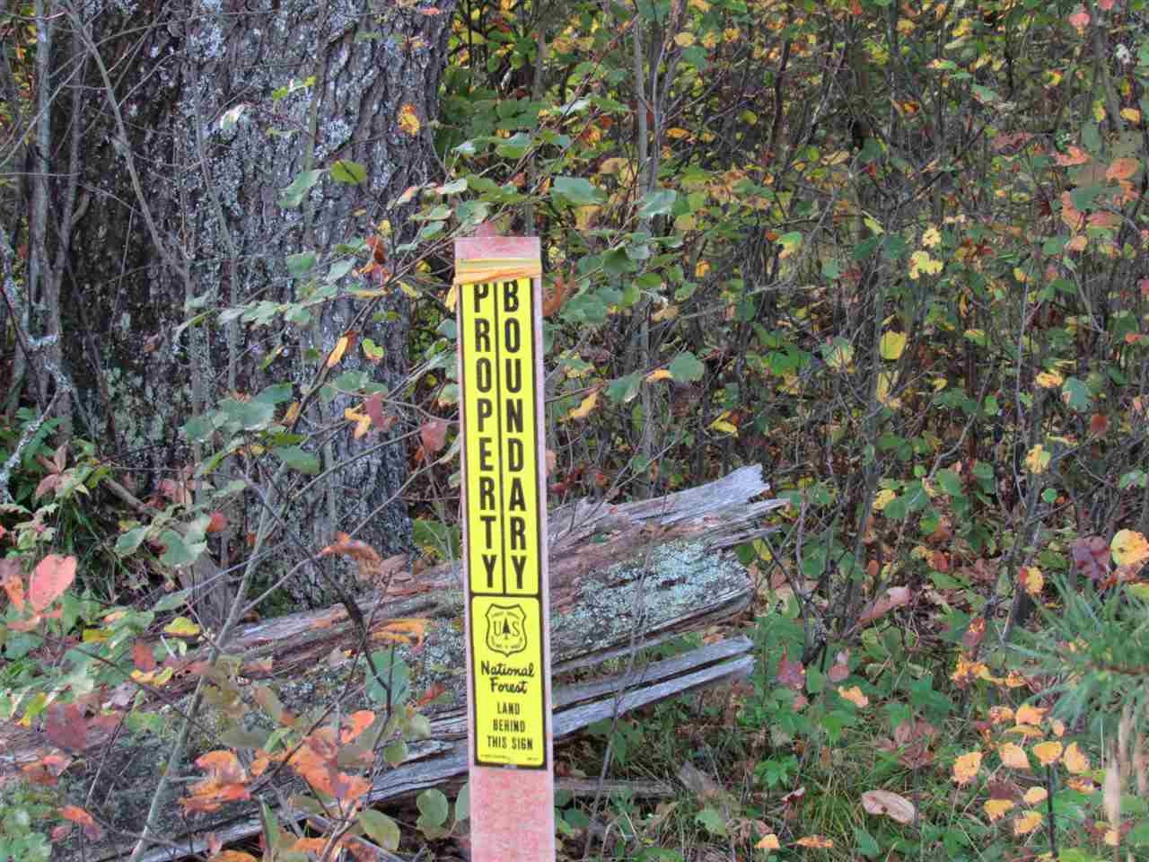 Xxx Leline Road Roscommon, MI 48653 - Photo 3 of 16 Gallery Image 3