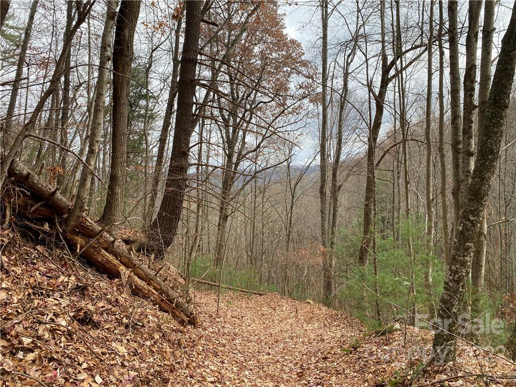 1865 Hopis Branch Road Hot Springs, NC 28743 - Photo 1 of 17 Gallery Image 1