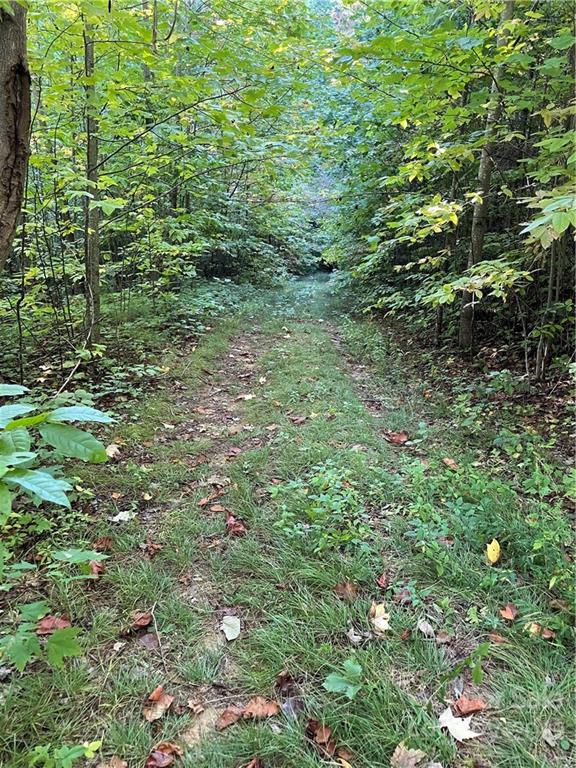 1865 Hopis Branch Road Hot Springs, NC 28743 - Photo 13 of 17 Gallery Image 13