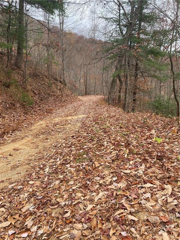 1865 Hopis Branch Road Hot Springs, NC 28743 - Photo 14 of 17 Gallery Image 14