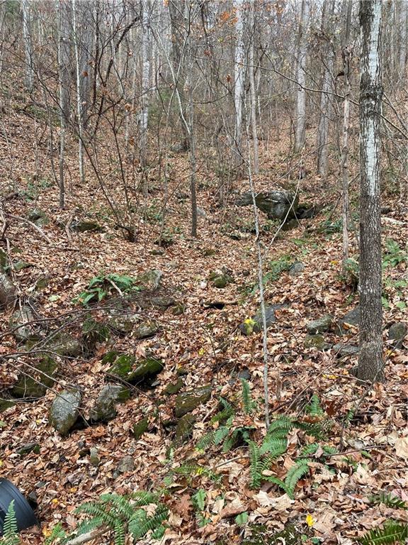 1865 Hopis Branch Road Hot Springs, NC 28743 - Photo 16 of 17 Gallery Image 16