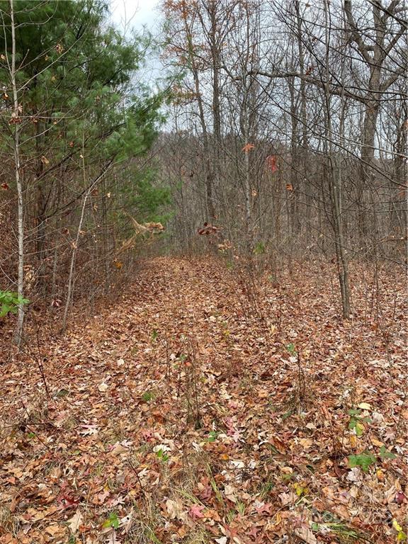 1865 Hopis Branch Road Hot Springs, NC 28743 - Photo 17 of 17 Gallery Image 17
