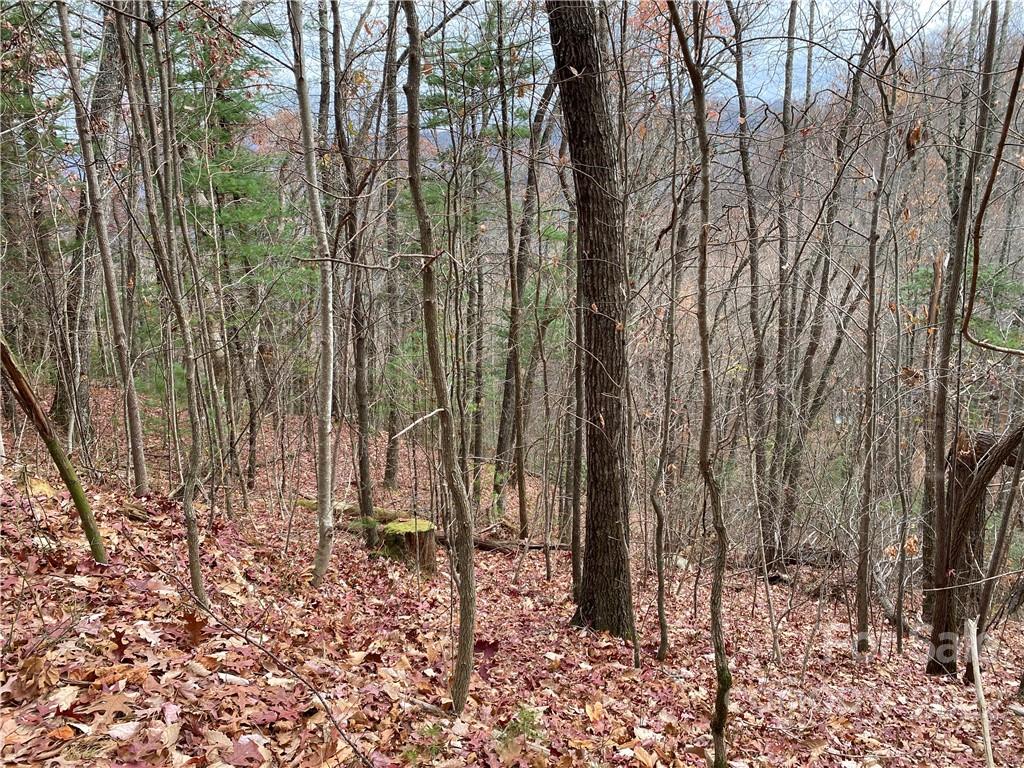 1865 Hopis Branch Road Hot Springs, NC 28743 - Photo 5 of 17 Gallery Image 5