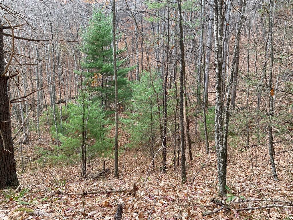 1865 Hopis Branch Road Hot Springs, NC 28743 - Photo 6 of 17 Gallery Image 6