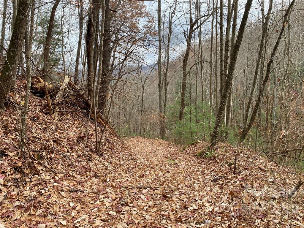 1865 Hopis Branch Road Hot Springs, NC 28743 - Photo 7 of 17 Gallery Image 7