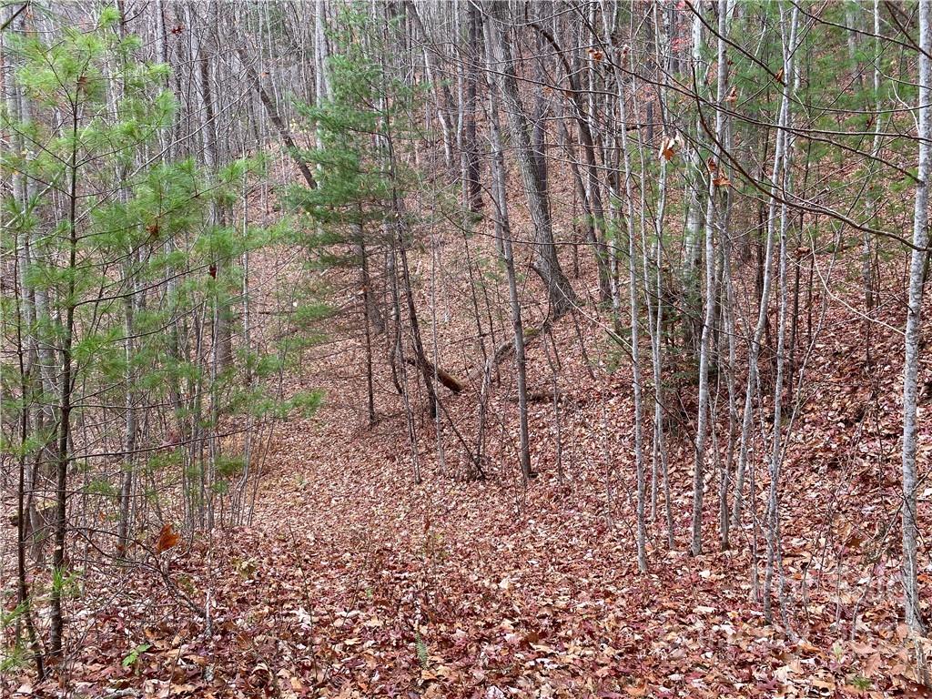 1865 Hopis Branch Road Hot Springs, NC 28743 - Photo 8 of 17 Gallery Image 8