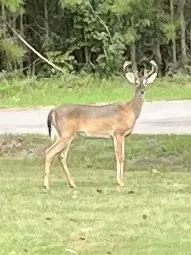 $159,900 | 142 Hounds Chase Lane, Trinity, TX 75862