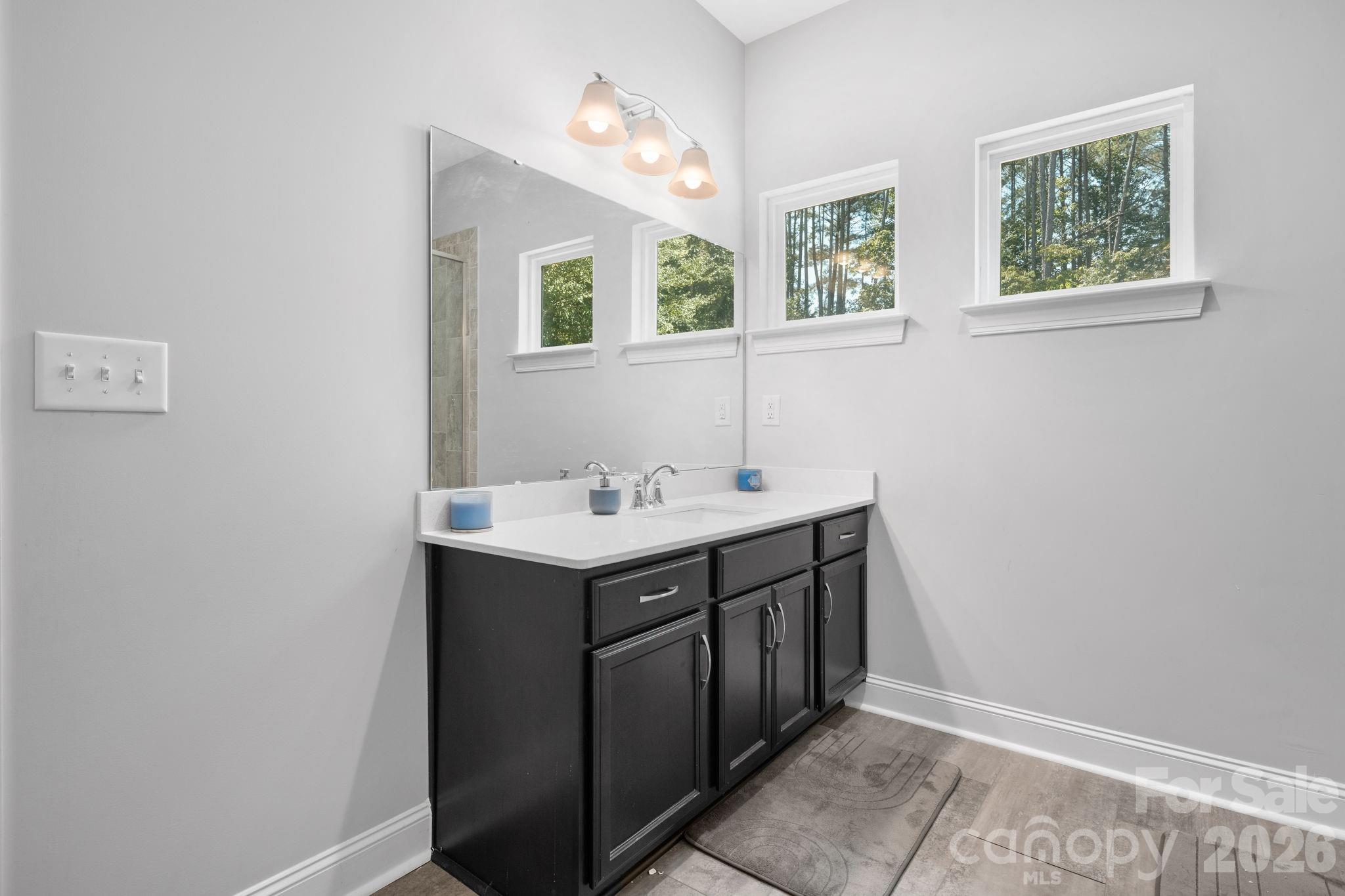 4903 Rio De Luna Hickory, NC 28601 - Photo 17 of 41