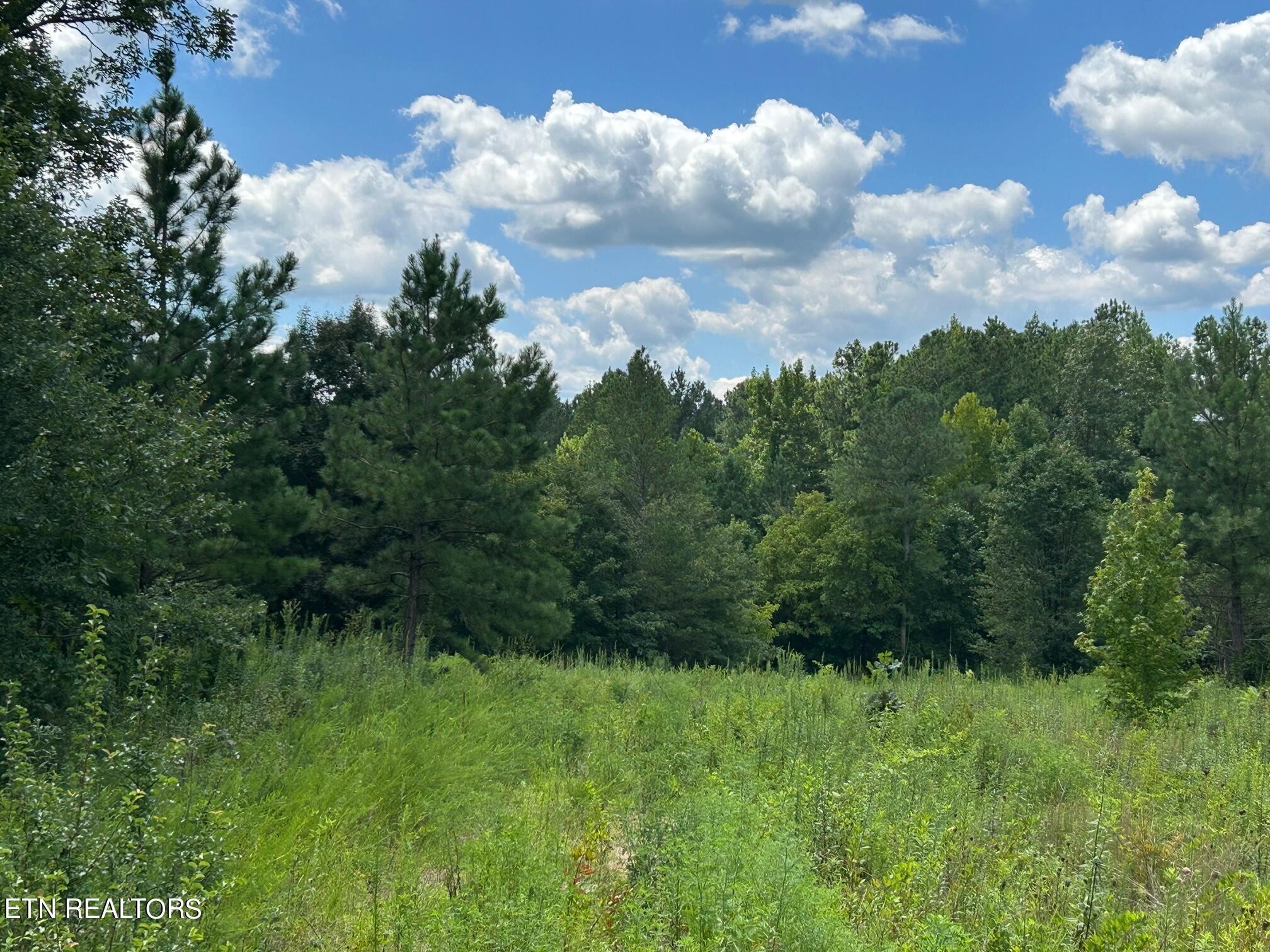 5945 Athens Road Calhoun, TN 37309 - Photo 25 of 44