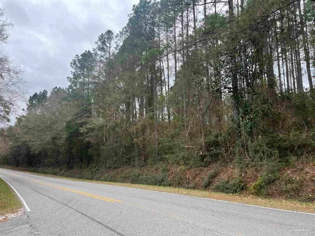 $249,000 | 3000 North Pine Barren Road, McDavid, FL 32568